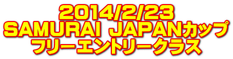 2014/2/23 SAMURAI JAPANカップ フリーエントリークラス 
