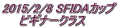 2015/2/8 SFIDAカップ 　　ビギナークラス